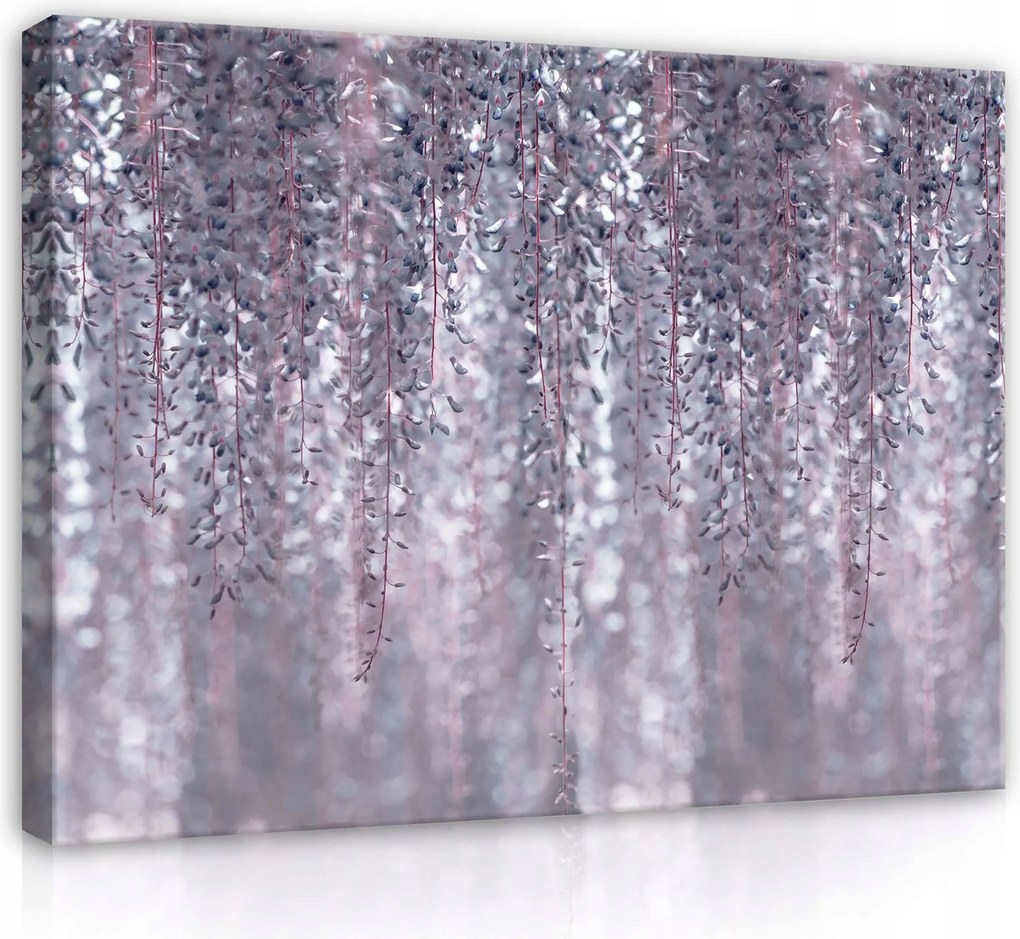 Vászonkép 80x60 Glicin virág vízesés virág pasztell nyugalom természet