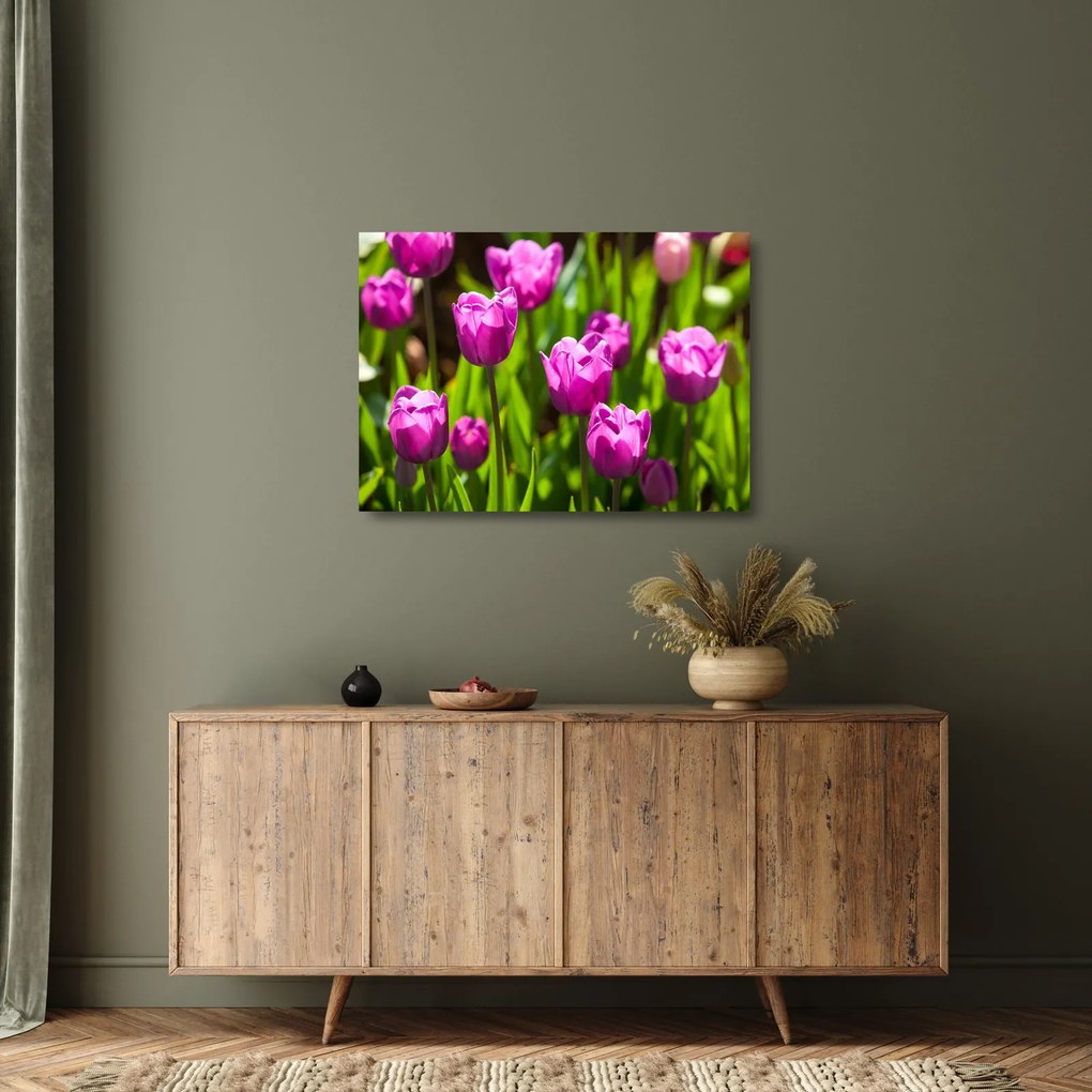 Tulipánok a réten képe (üvegen) (70x50 cm)