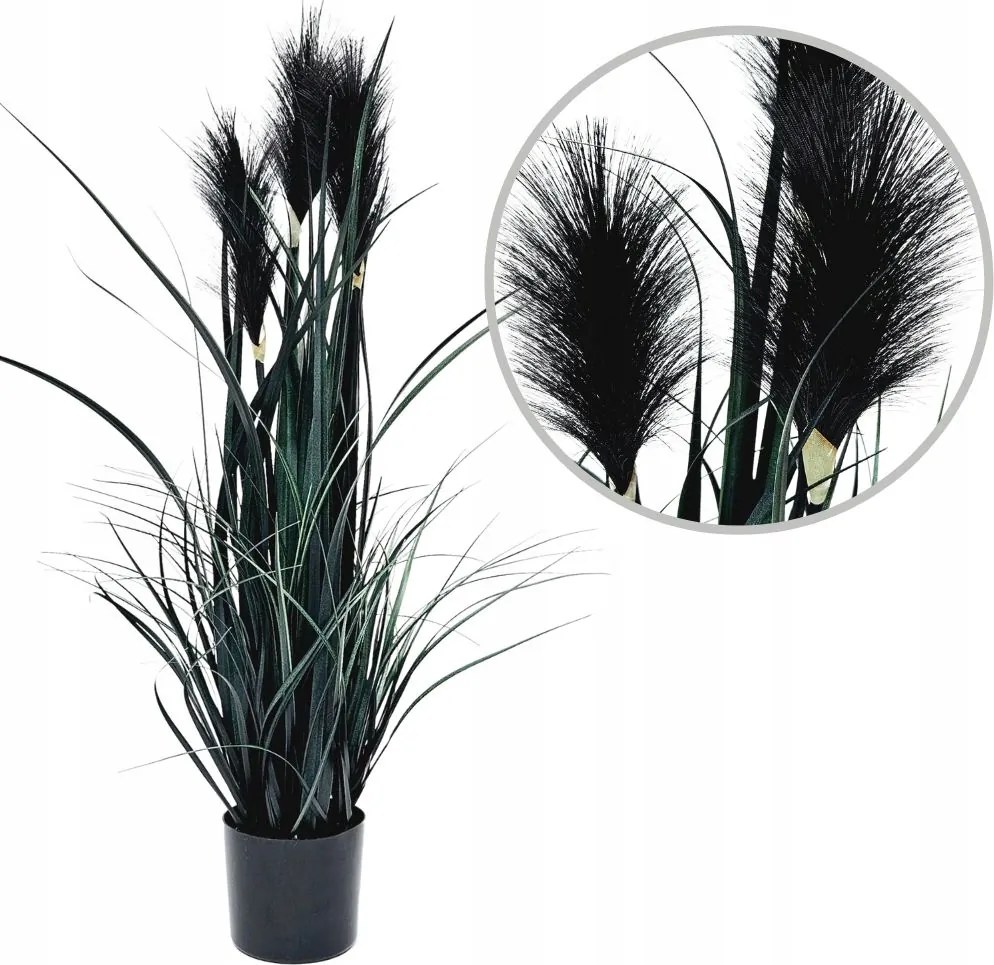 Műnövény fekete pampafűvel, 80 cm magas, cserépben