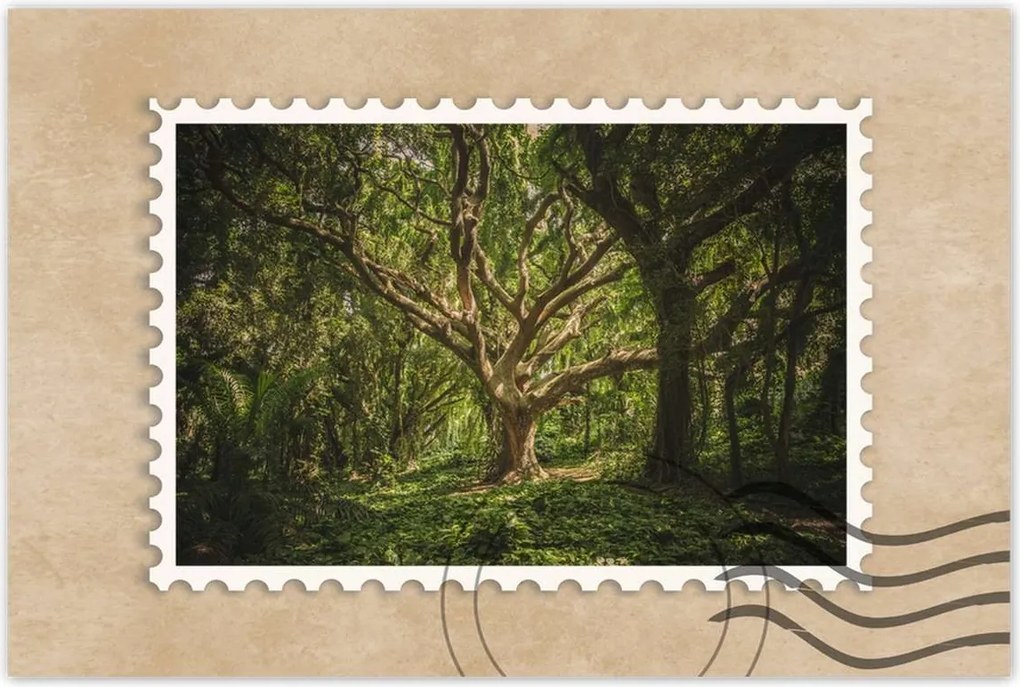 Poszterek 60x40 Fa a parkban