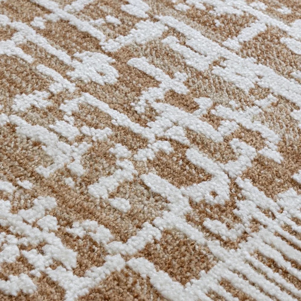 Bézs szőnyeg 160x240 cm Anders Beige Natural – Asiatic Carpets