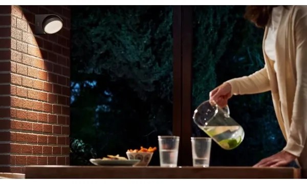 Philips - LED Kültéri fali lámpa MIMOSA LED/7W/230V 2700K IP44