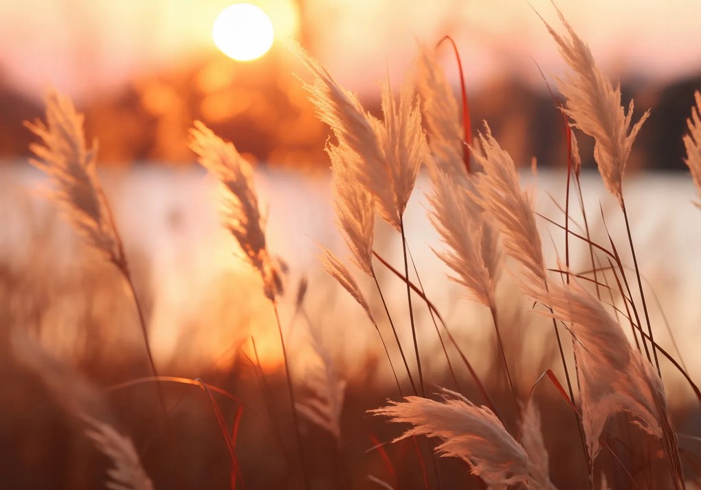 Poszter 100x70cm Arany Nyugat