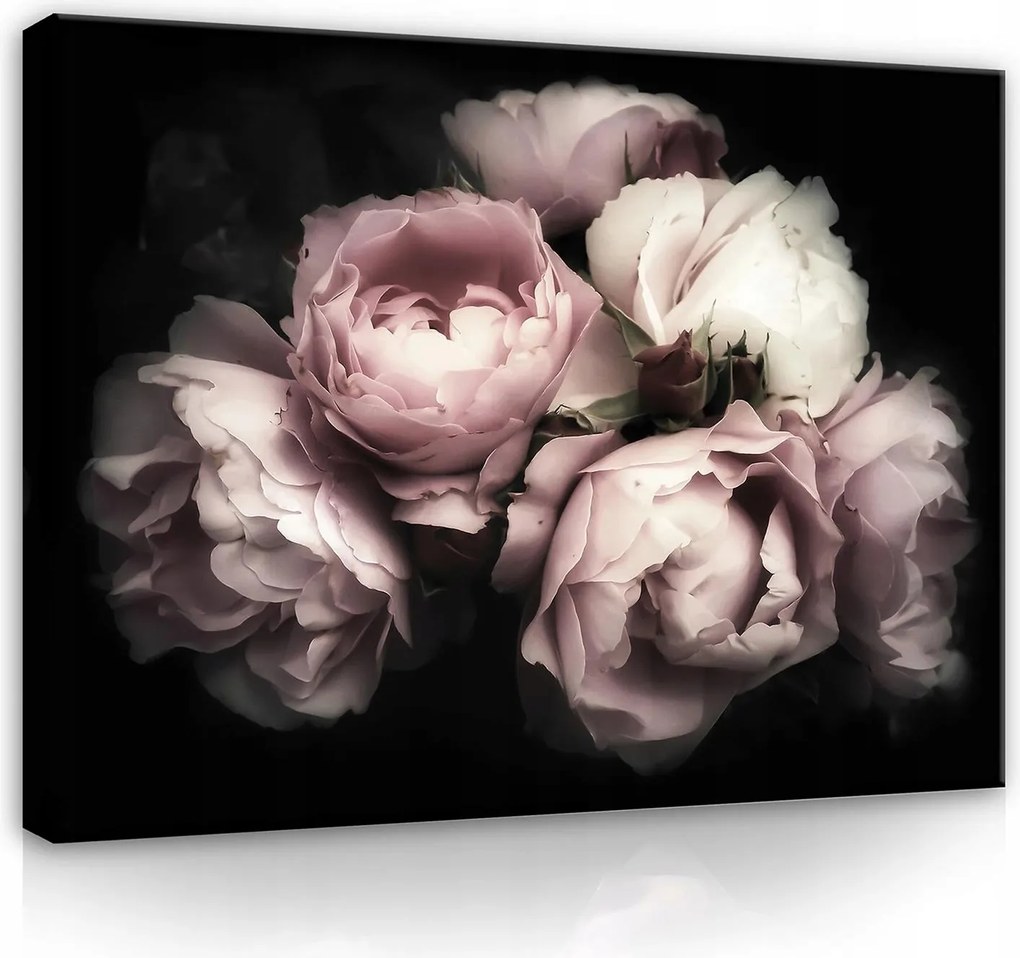 Vászonkép falikép rózsaszín fekete rózsák 100 x 75