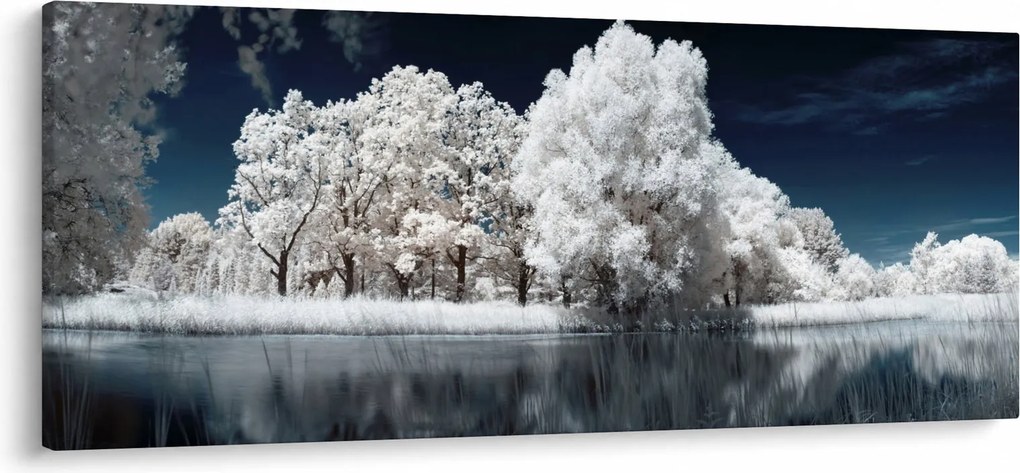 Kép - Hófehér fák (120x50 cm)
