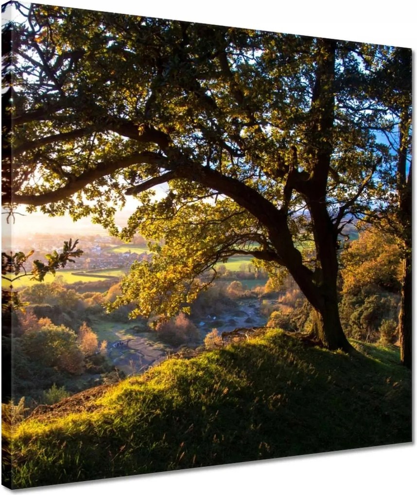 Vászonkép 40x40 Kilátás a völgyre