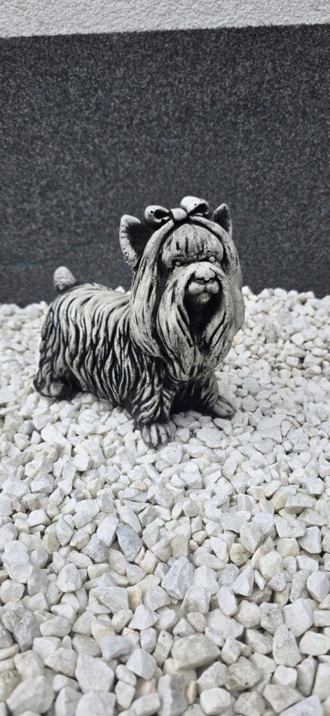 Beton Figura Máltai Kutya