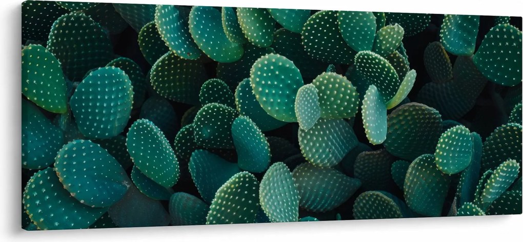 Kép - Opuntia (120x50 cm)