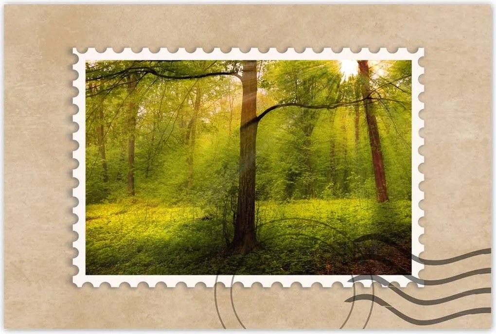 Poszterek 90x60 Varázslatos erdő Tájkép