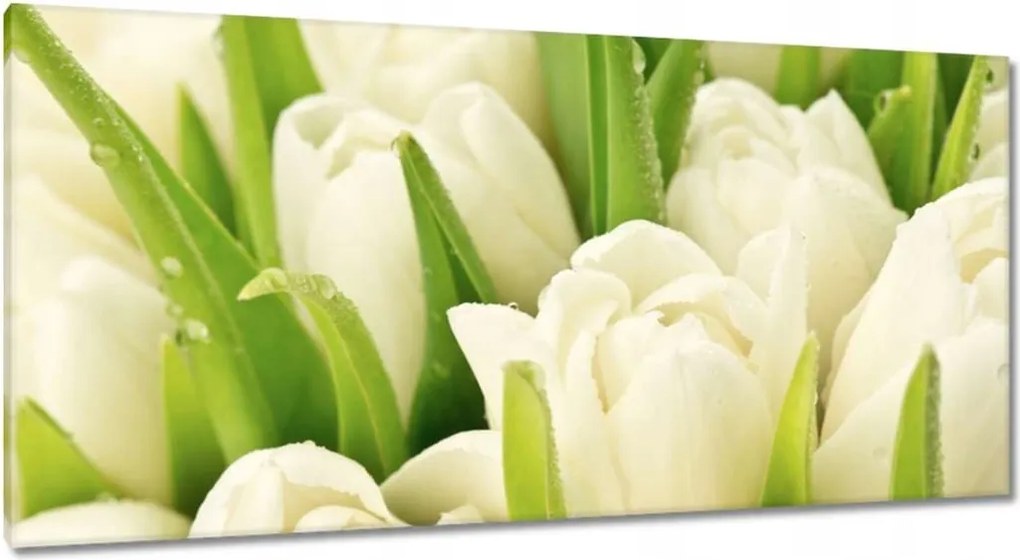 Vászonkép 115x55 Finom tulipánok