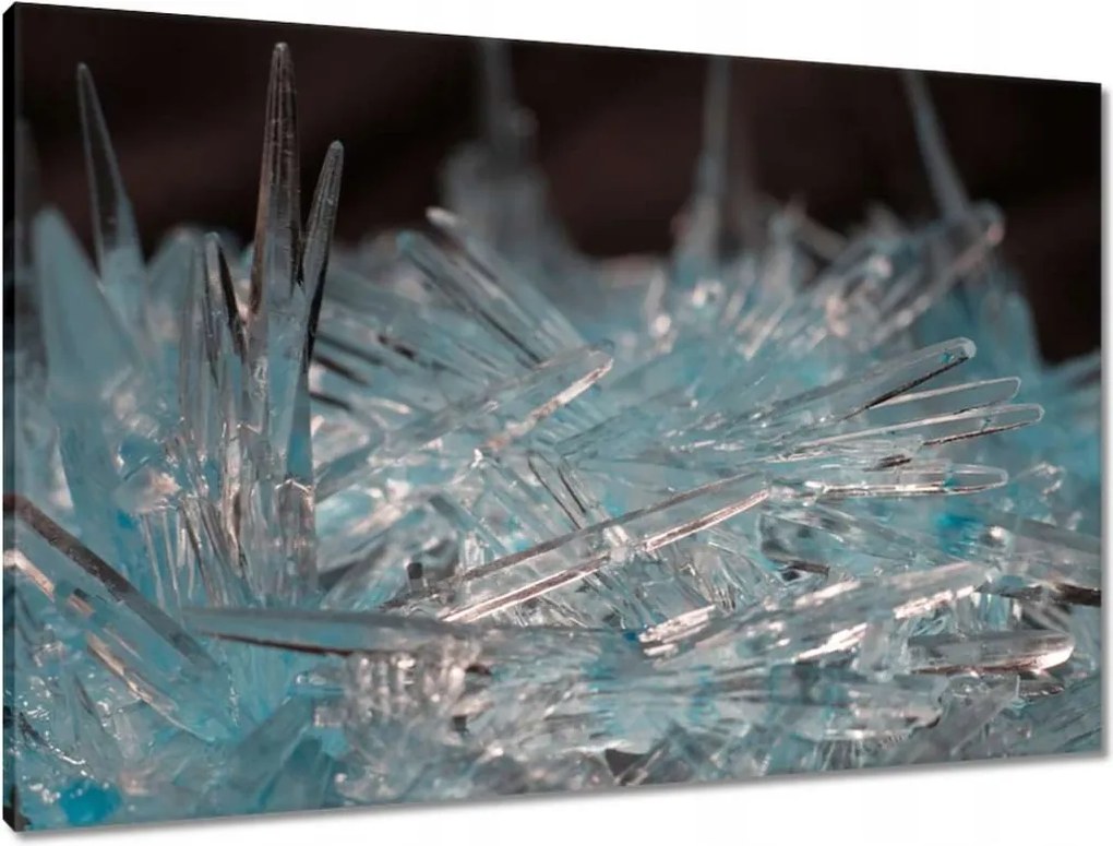 Vászonkép 90x60 Makrofotó MacroFoto