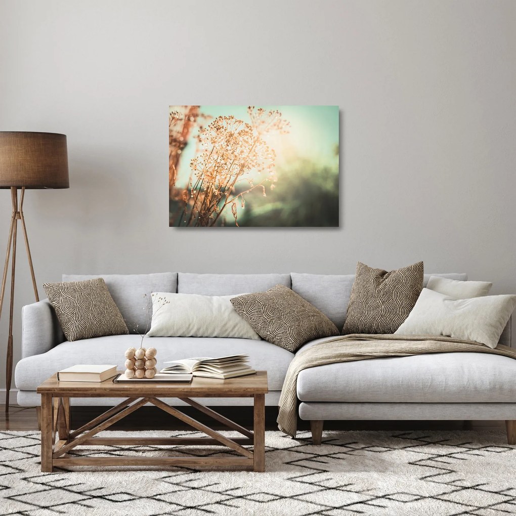 Üveg kép - Növények eső után (70x50 cm)