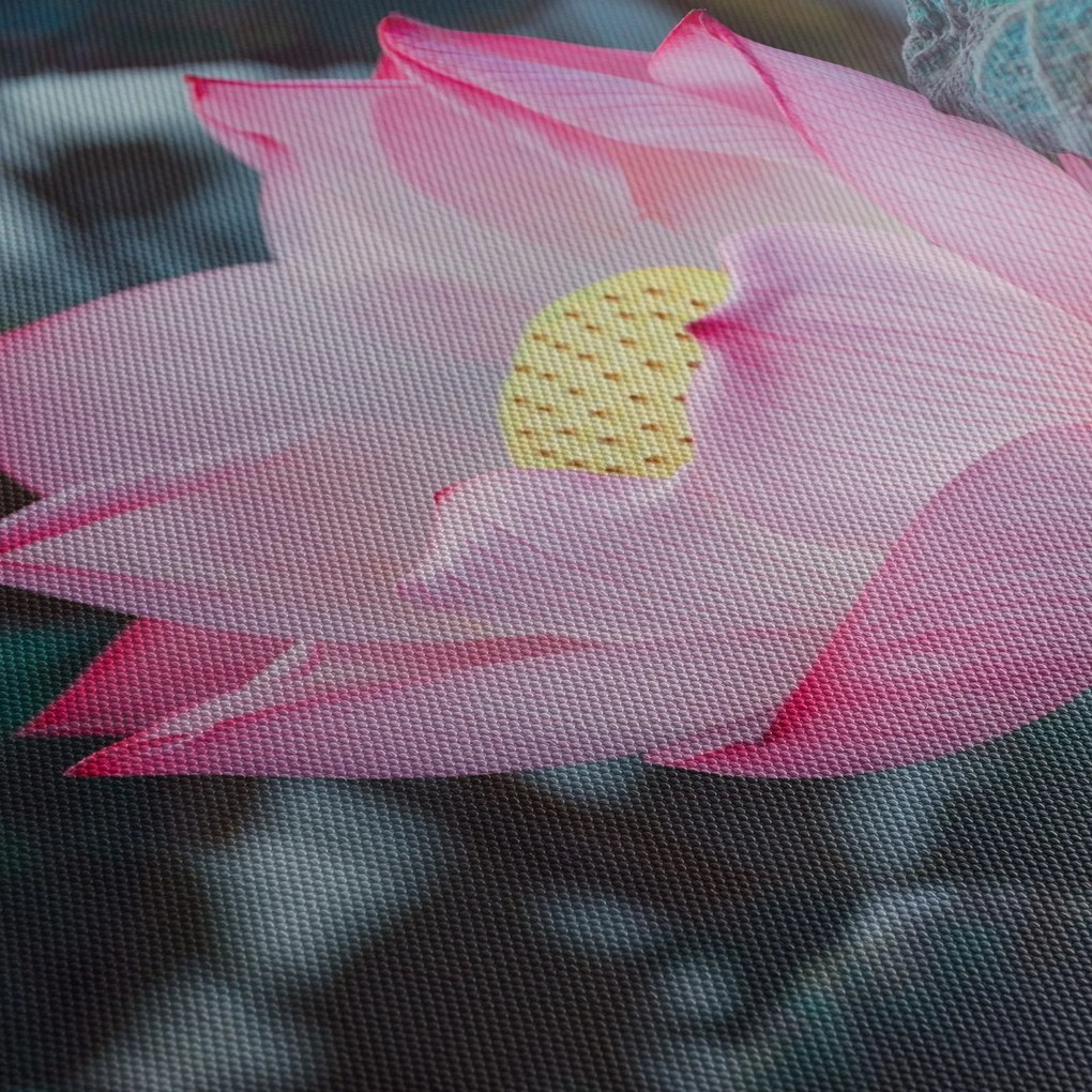 Rózsaszín virág képe (90x60 cm)
