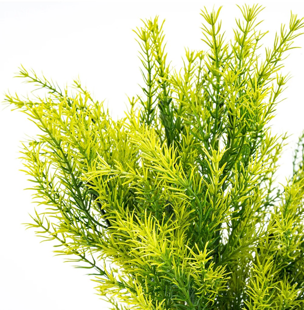 Művirág csokor Asparagus, 53 cm