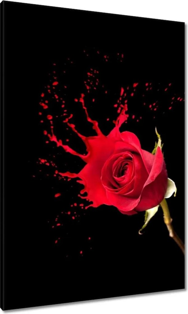 Vászonkép 70x100 Fröccsenő rózsa