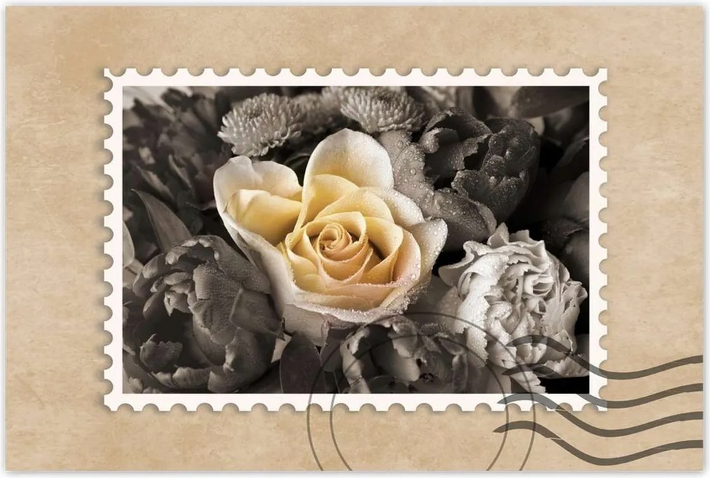 Poszter 60x40 Tearózsa