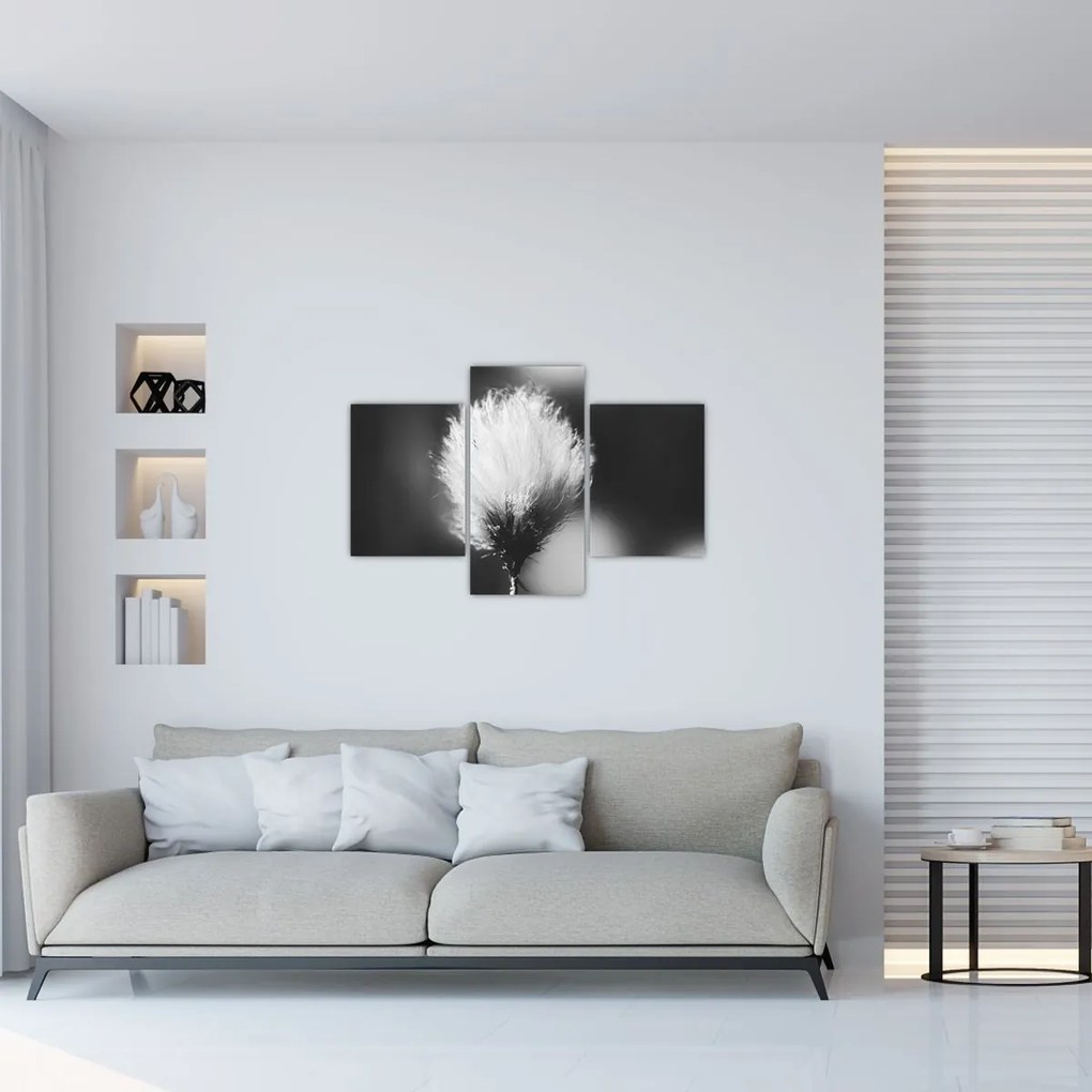 Kép - Fekete-fehér pamutfű (90x60 cm)