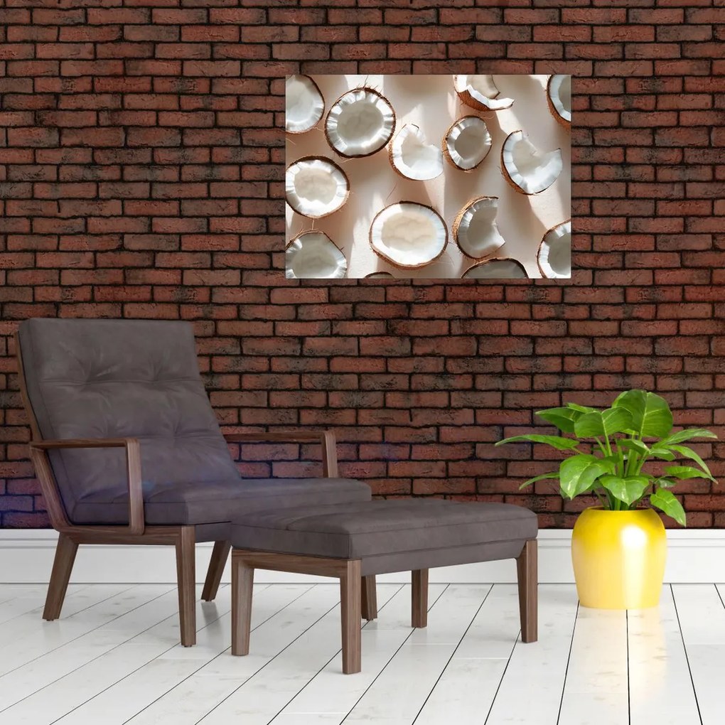 Kép - Kókuszdiók (70x50 cm)