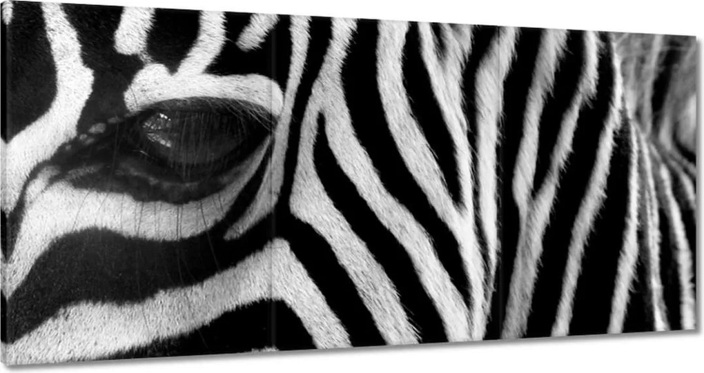 Vászonkép 180x90 Fekete-fehér csíkos Zebra