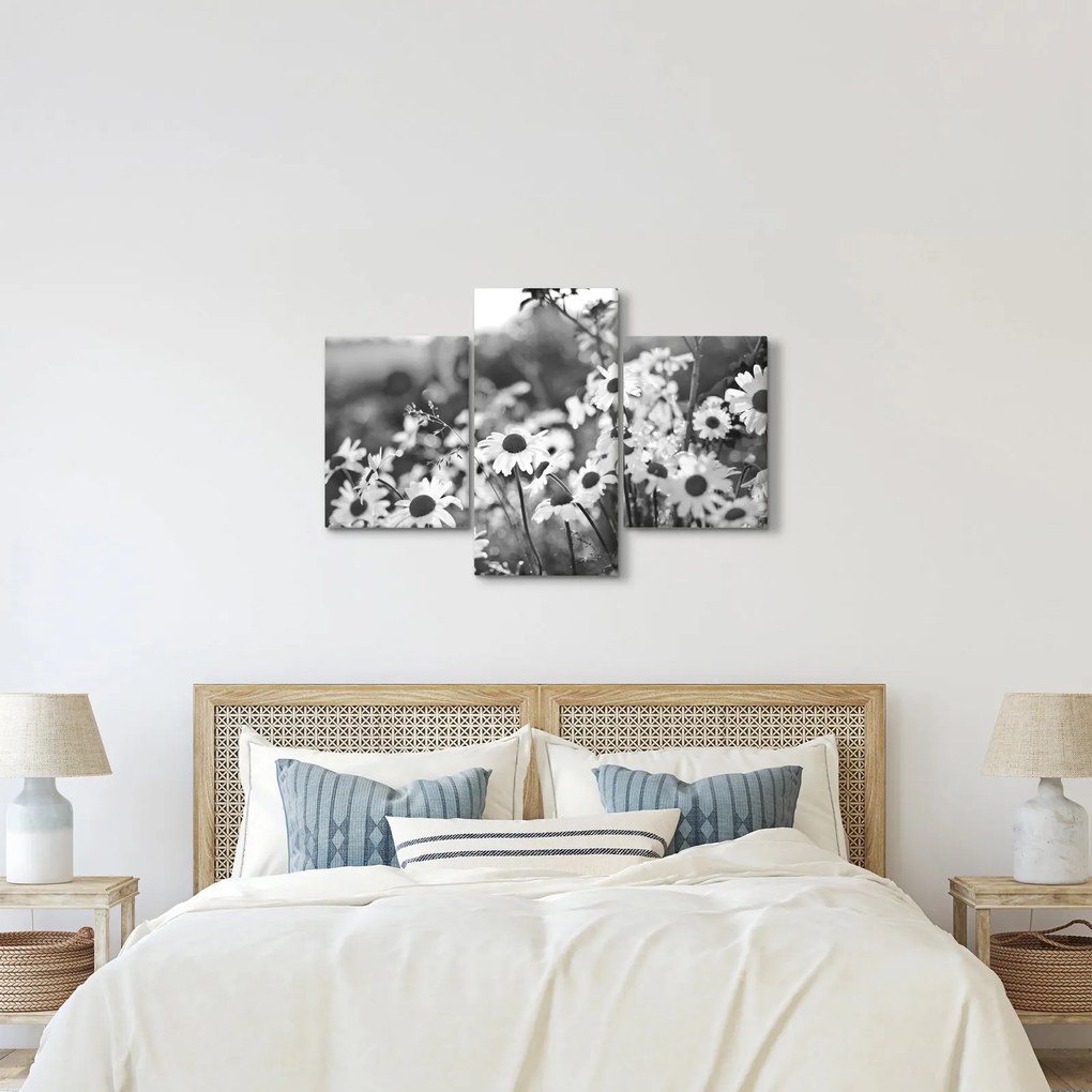 Kép - Százszorszépek (90x60 cm)