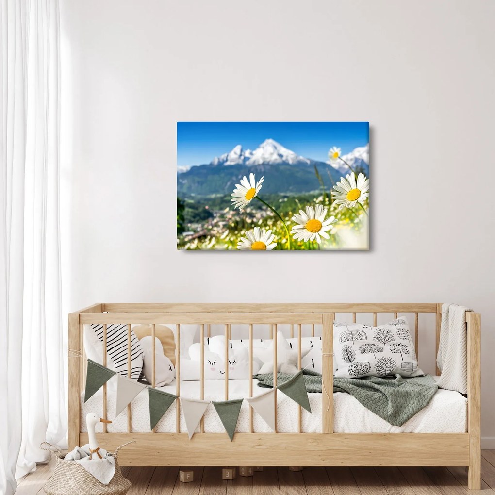 Kép - tavasz az Alpokban (90x60 cm)