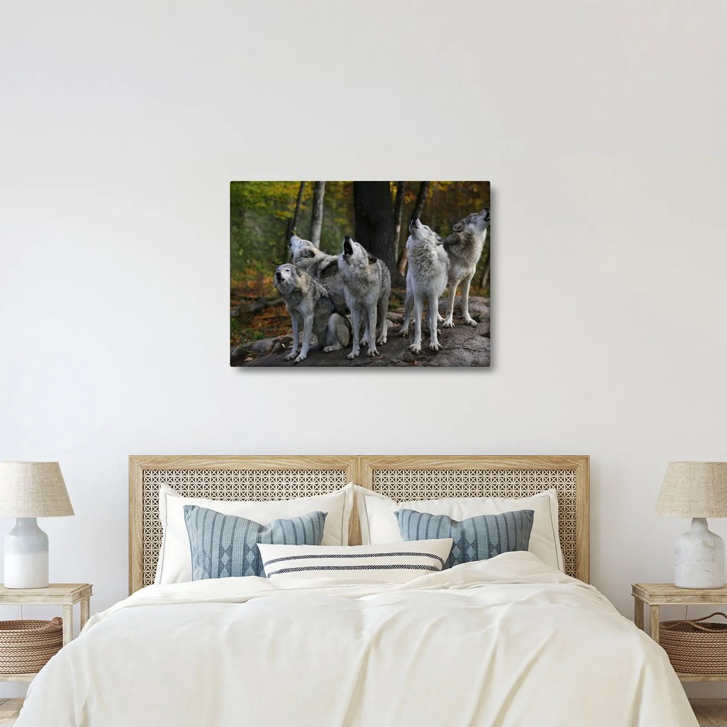 Kép - Farkasok a sziklán (70x50 cm)