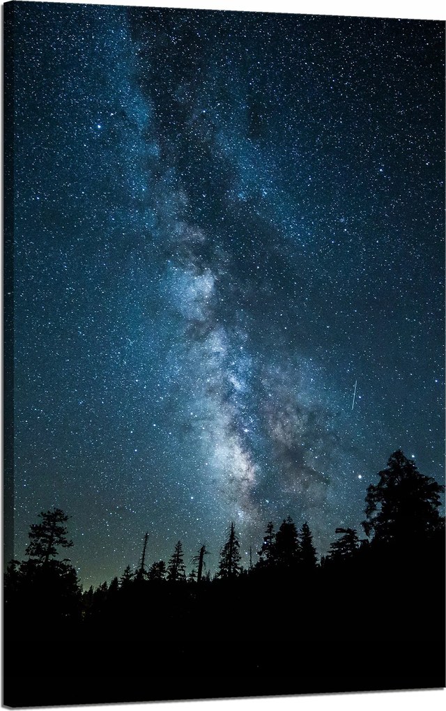 Vászonkép Kozmosz Éjszaka Erdő Köd Természet Csillagászat 50x80