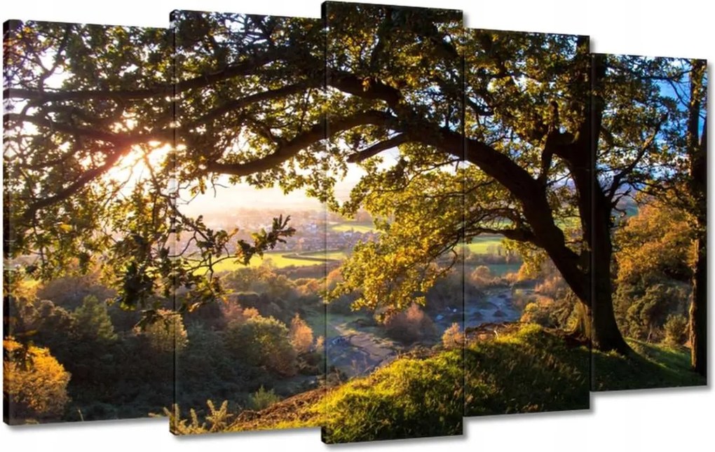 Festmények 100x60 Kilátás a völgyre