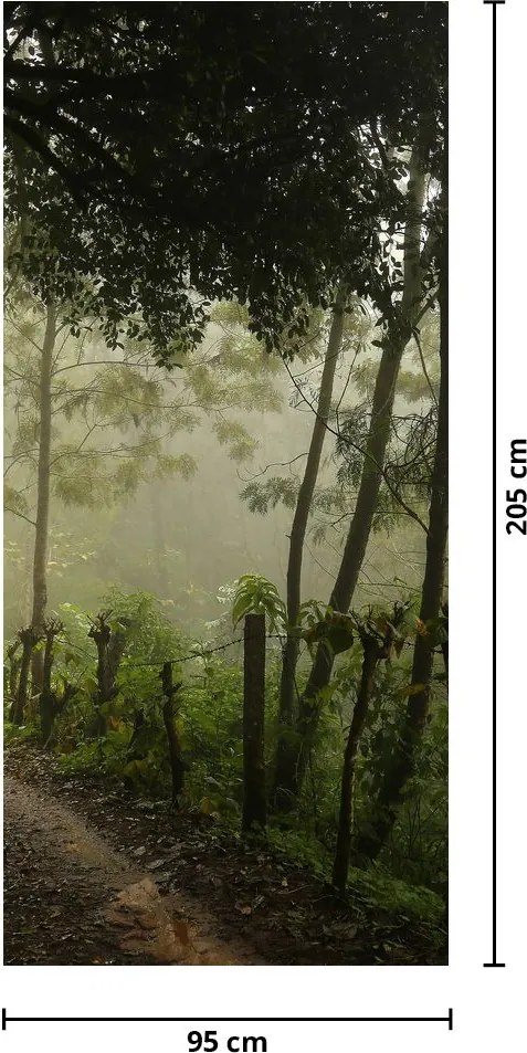 Fotótapéta ajtóra - Reggeli köd (95x205cm)