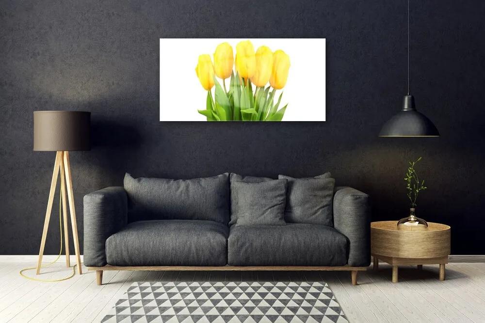 Akril üveg kép Tulipán virágok Plant 125x50 cm