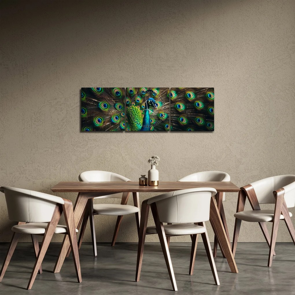 Kép – Pávatoll (órával) (90x30 cm)