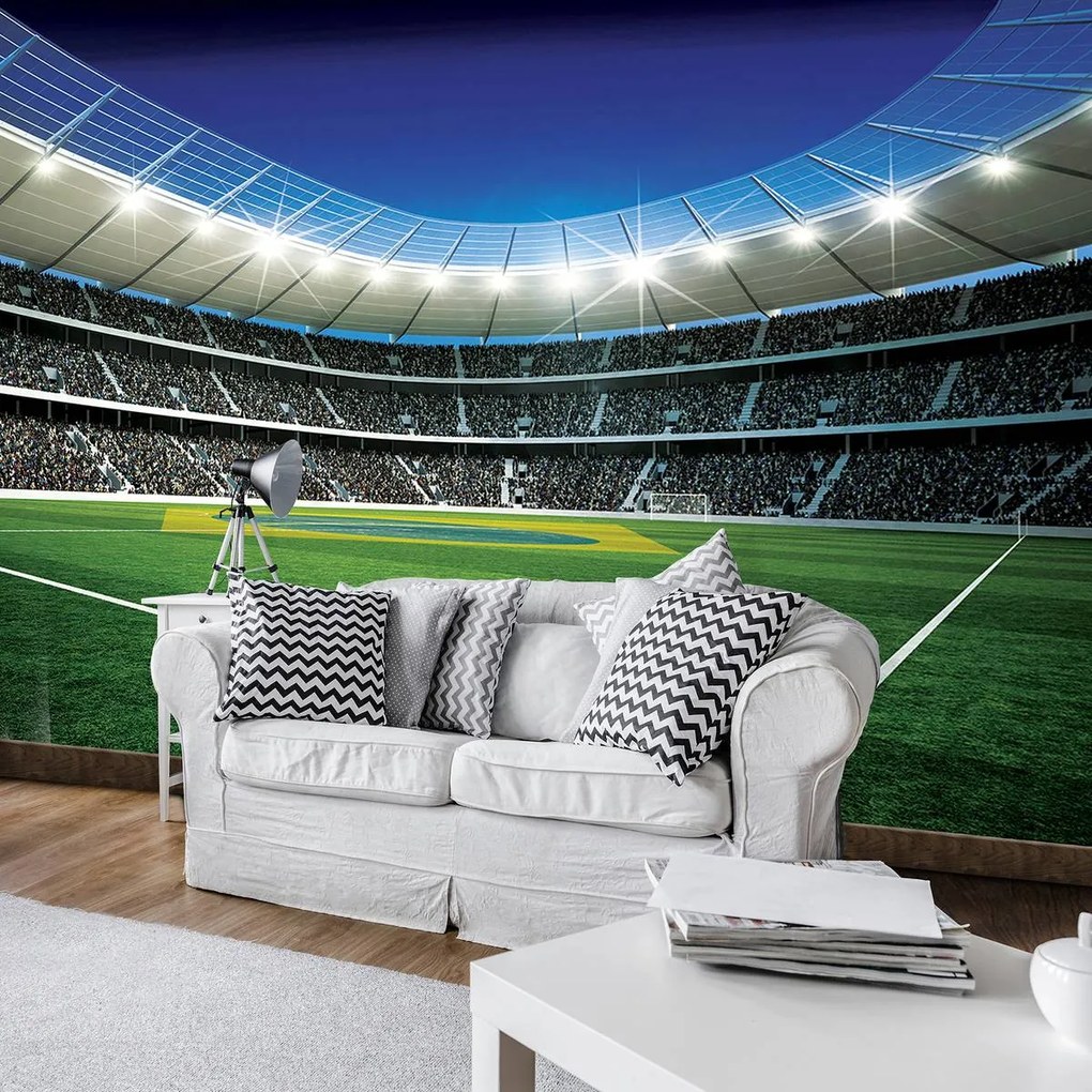 Fotótapéta - Futballpálya (254x184 cm)