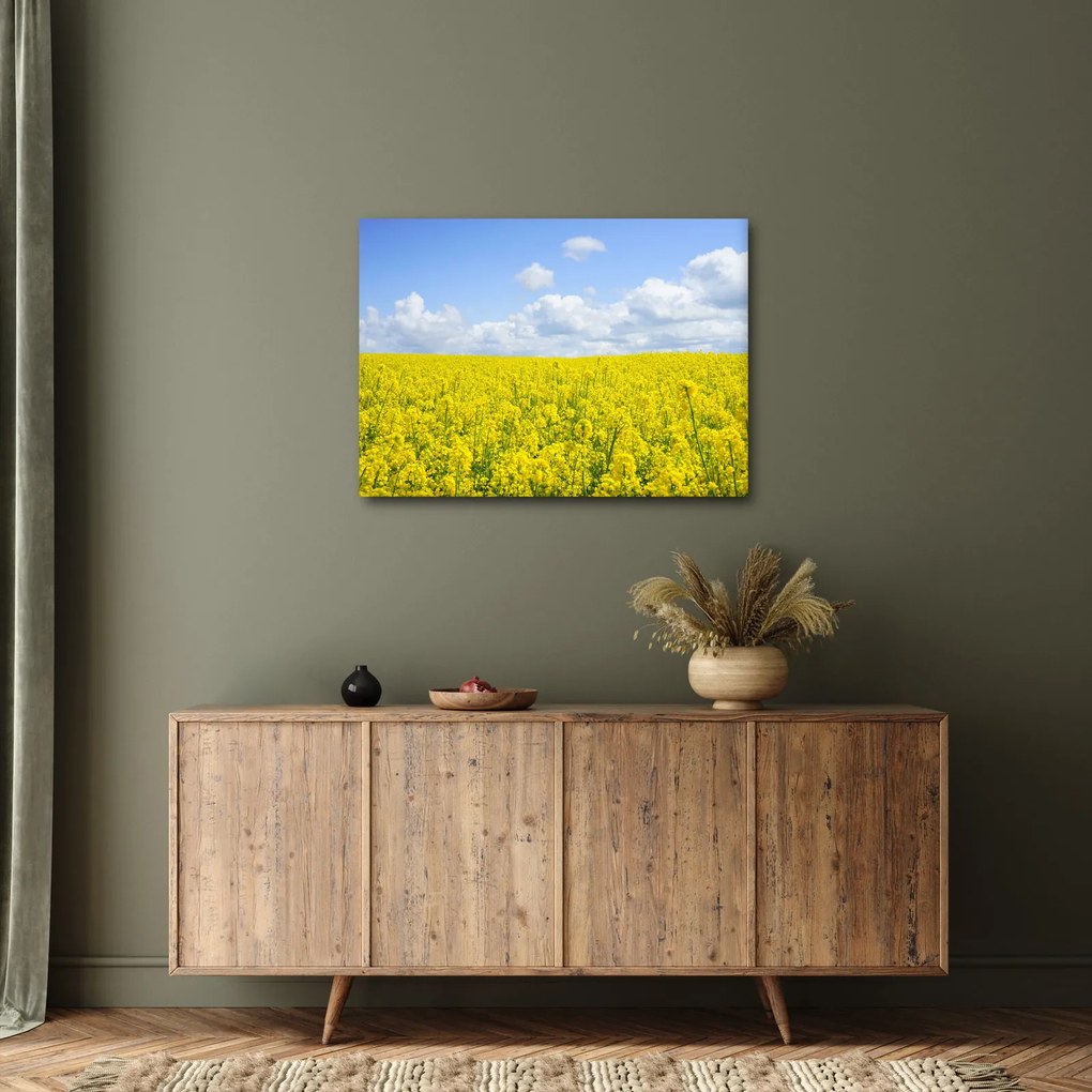 Egy sárga mező képe (70x50 cm)