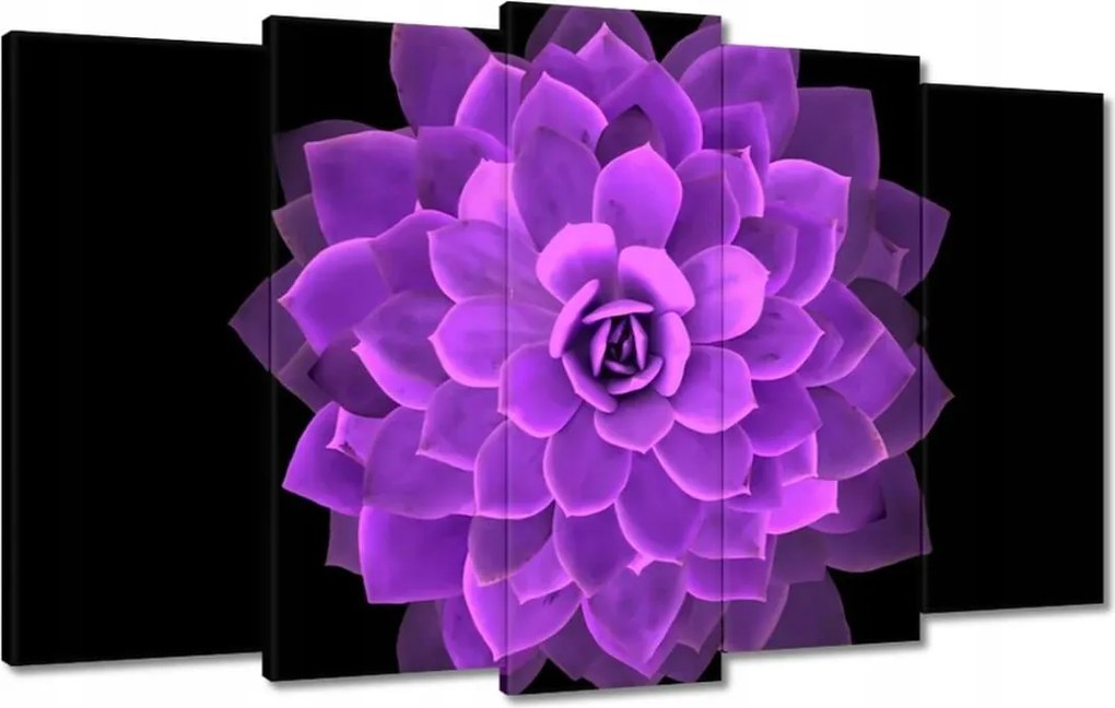 Vászonkép 100x60 Találkozás a virággal