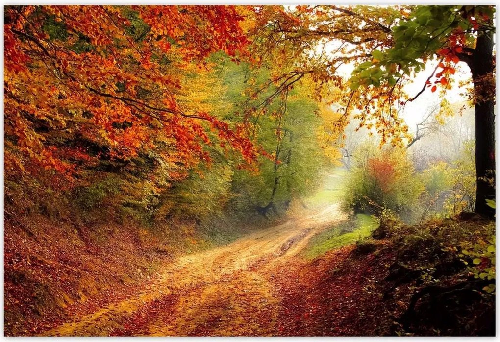 Poszterek 185x125 Tájkép