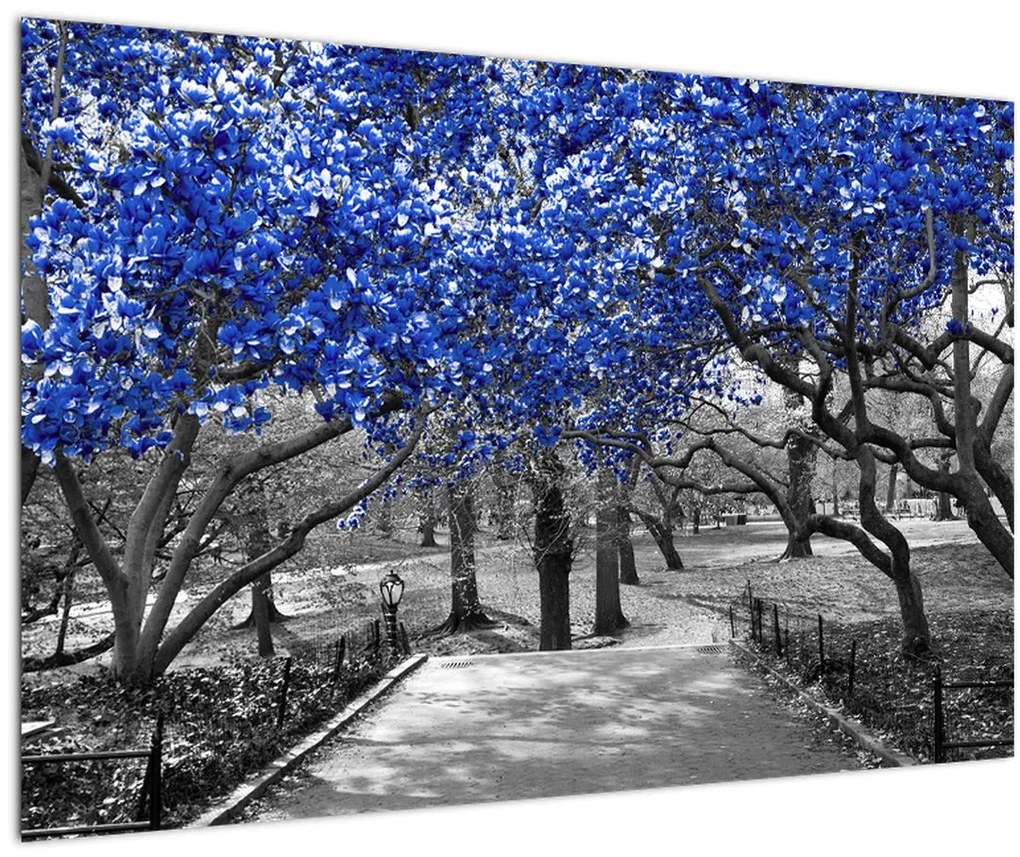 Kép - Kék fák, Central Park, New York (90x60 cm)