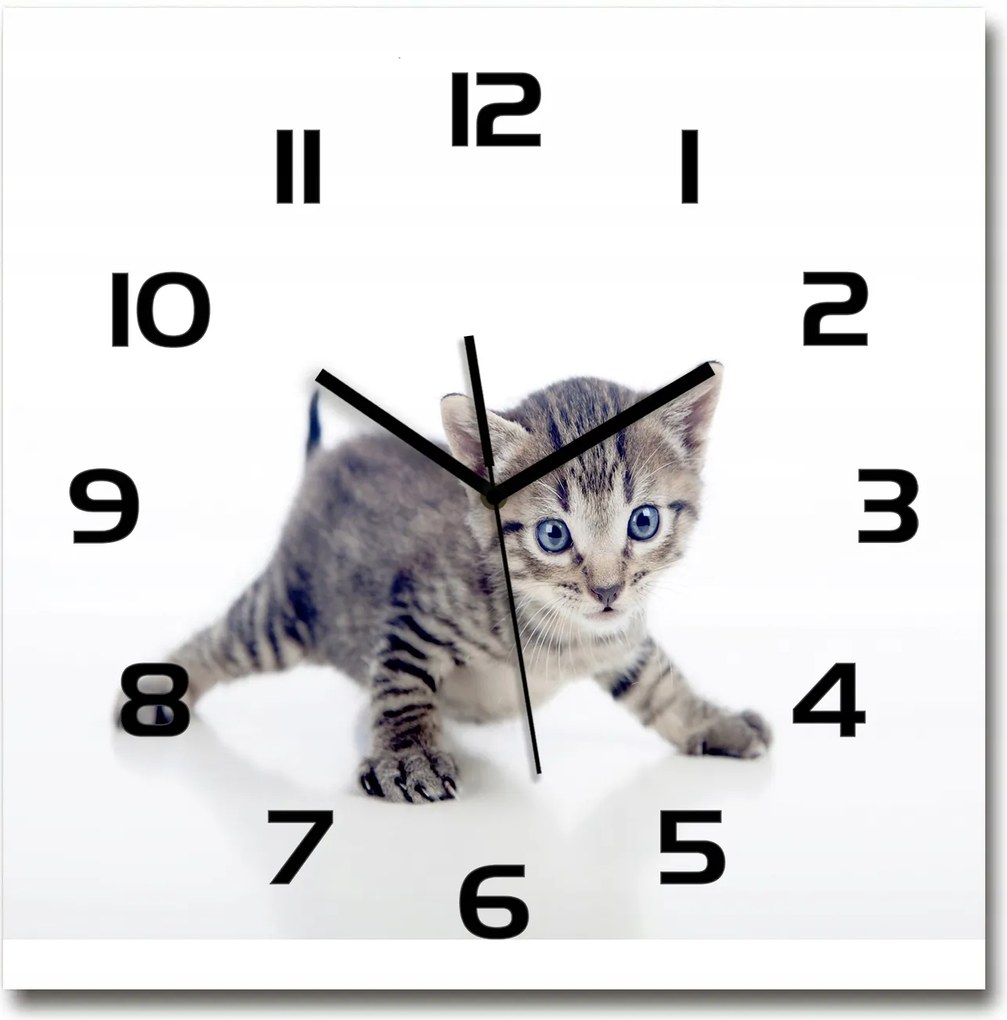 Falióra edzett üvegből Kis macska 60x60