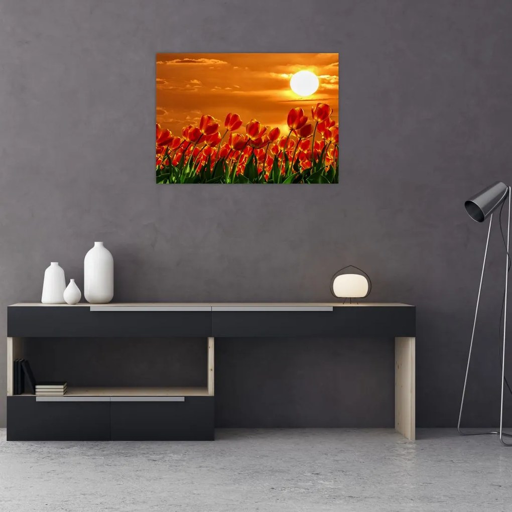 Kép egy virágzó mező tulipánokkal (70x50 cm)