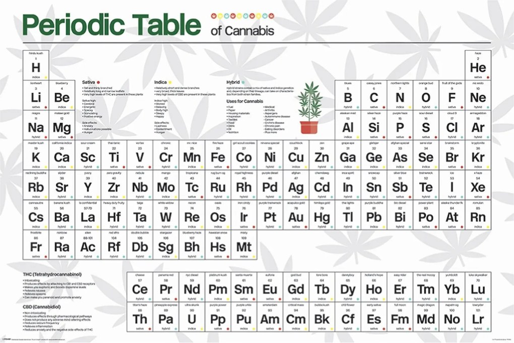 A kender periódusos rendszere poszter 91,5x61 cm