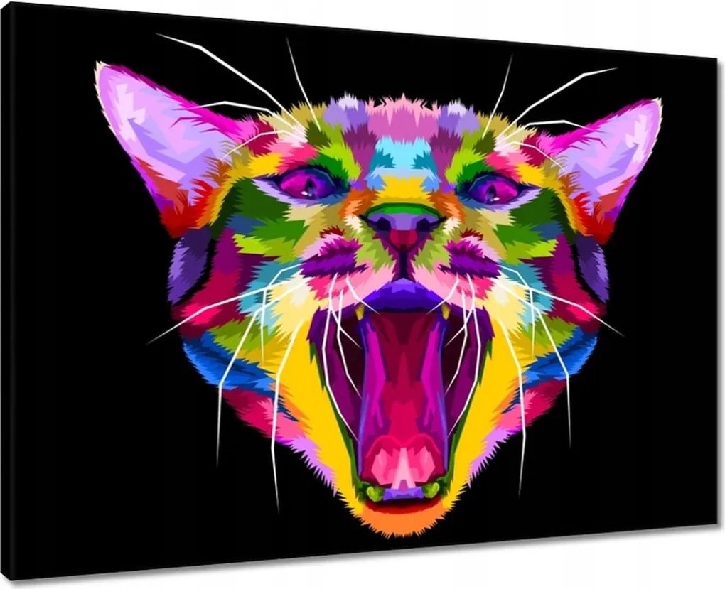 Vászonkép 70x50 Absztrakt macska