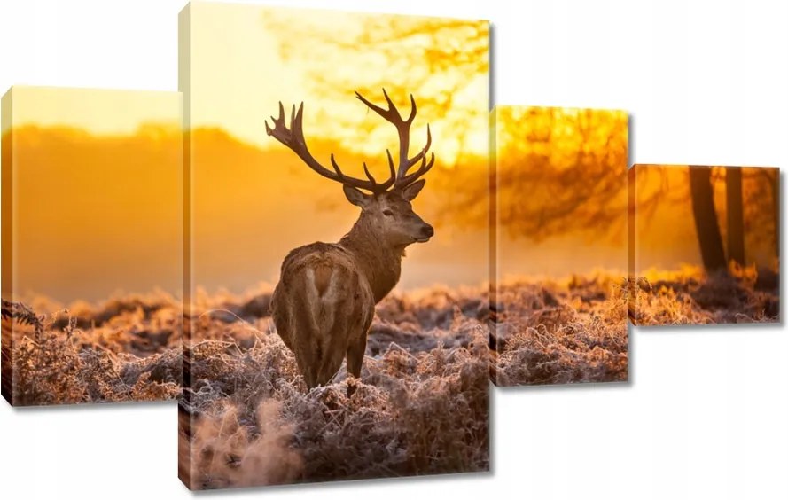 Vászonkép 130x80 Szarvas naplementekor