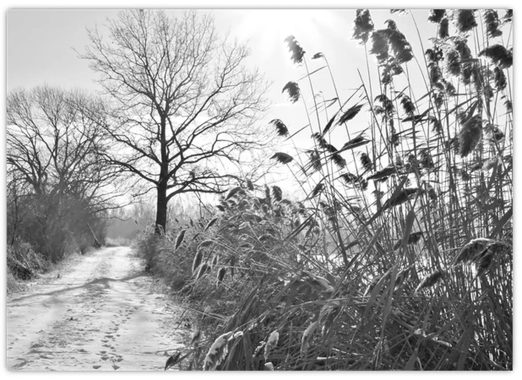 Kép - Mezők télen (70x50 cm)