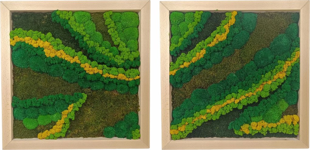 Moha Vászonkép tölgyfa keretben 50x50 Diptichon szett 2 db moha