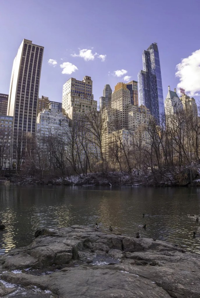 Poszter 68x101cm Alsó-Manhattan panoráma a Central Parkból, Assaf Frank