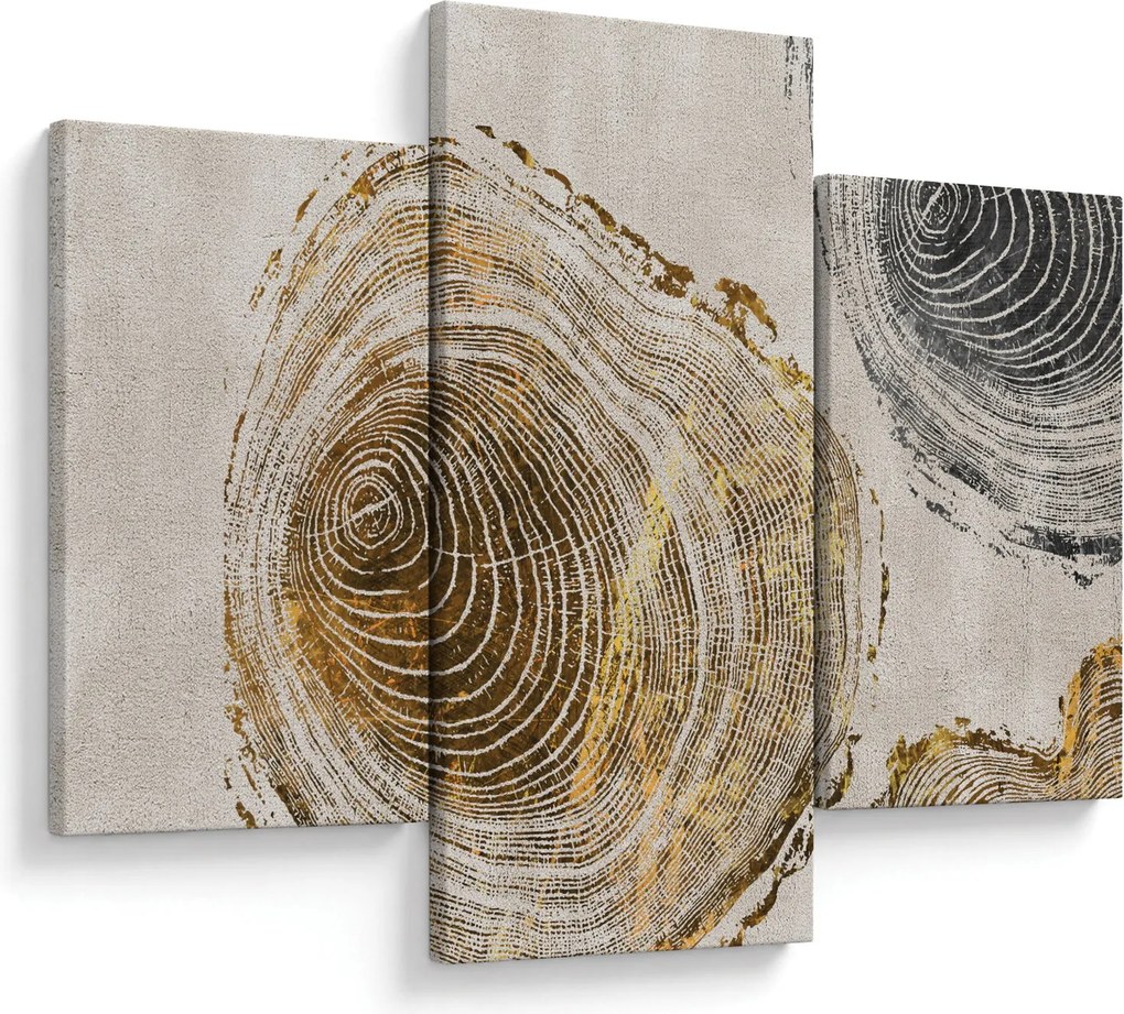 Kép - Törzsek absztrakciója (90x60 cm)