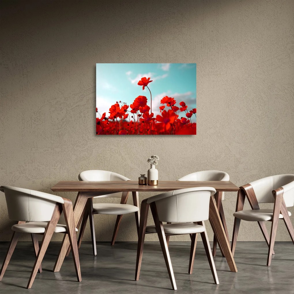 Fényes piros virágokkal rendelkező mező képe (üvegen) (70x50 cm)