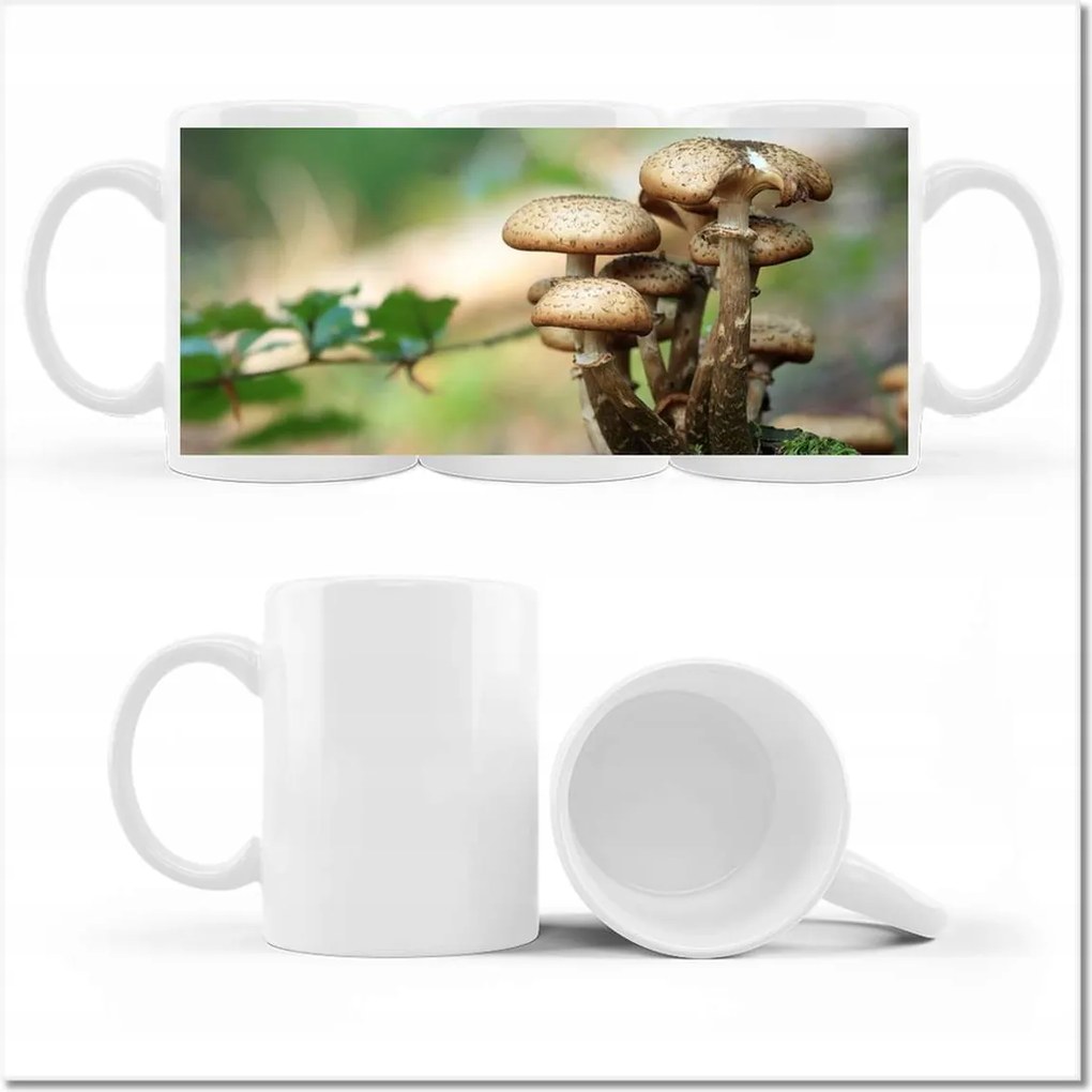 Fotó bögre Gombák az erdőben Közelkép