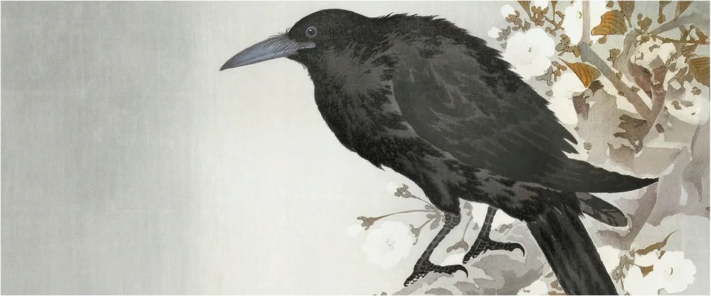 Stílusos Dekoratív Fotótapéta Flizelin Holló virágokkal 250x104 Ragasztó