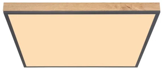 Globo 416080WD3 - LED Mennyezeti lámpa DORO LED/36W/230V