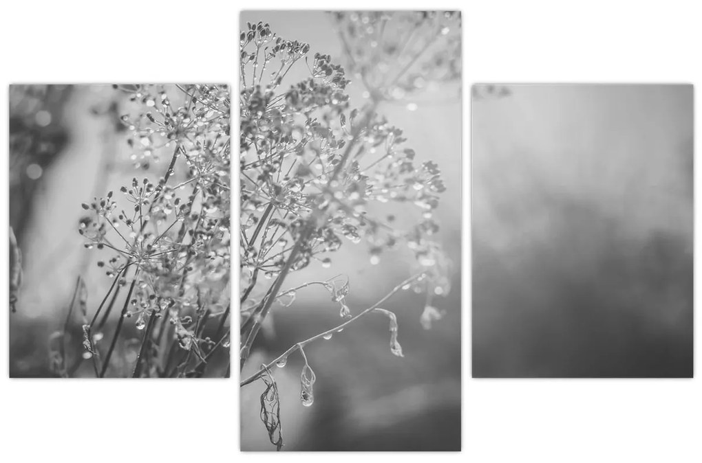 Kép - Mező az eső után (90x60 cm)